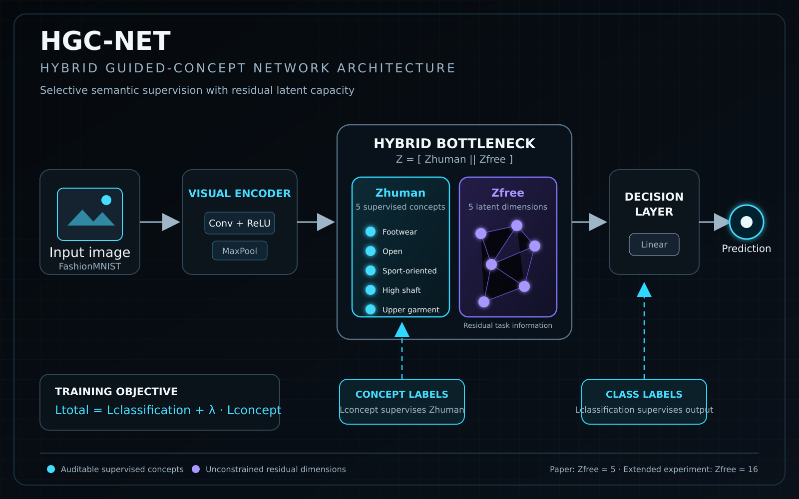 HGC-Net architecture showing a CNN encoder connected to a hybrid bottleneck with five supervised human concepts and five free latent dimensions, followed by a decision layer and prediction.